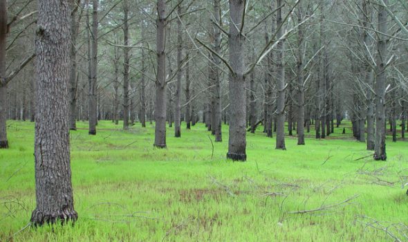 dsc20050813_115856_52